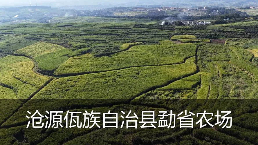 沧源佤族自治县勐省农场