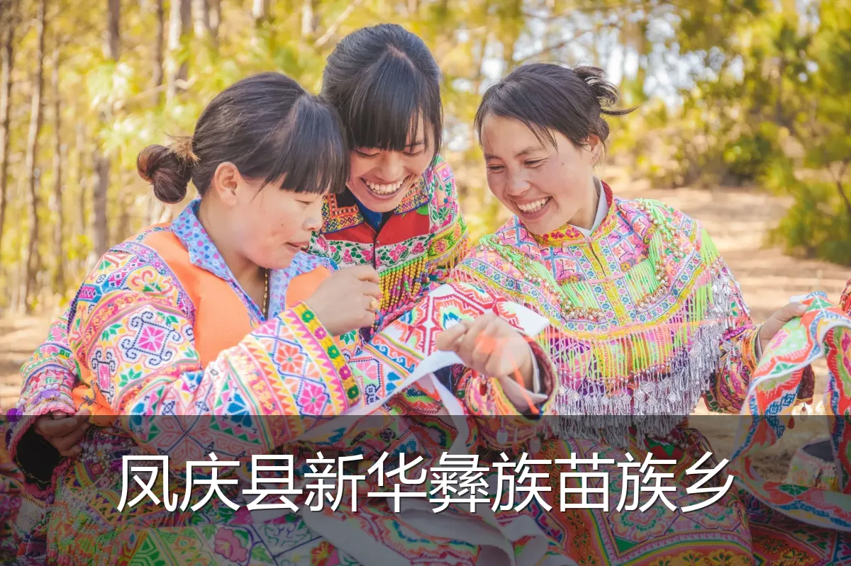 凤庆县新华彝族苗族乡