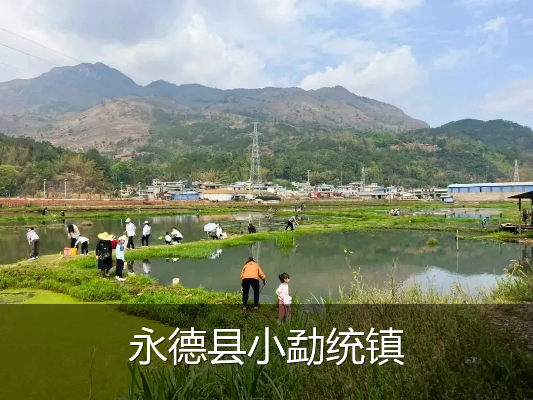 永德县小勐统镇