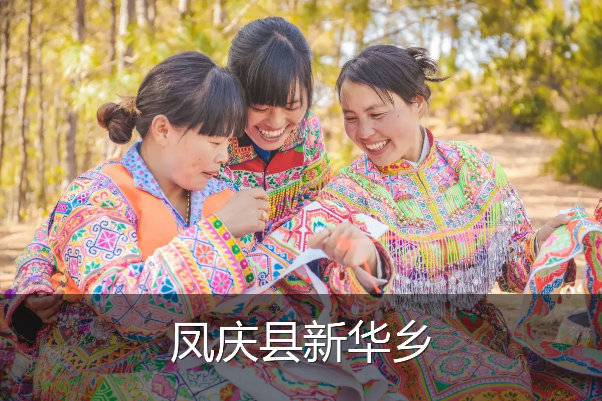 凤庆县新华乡