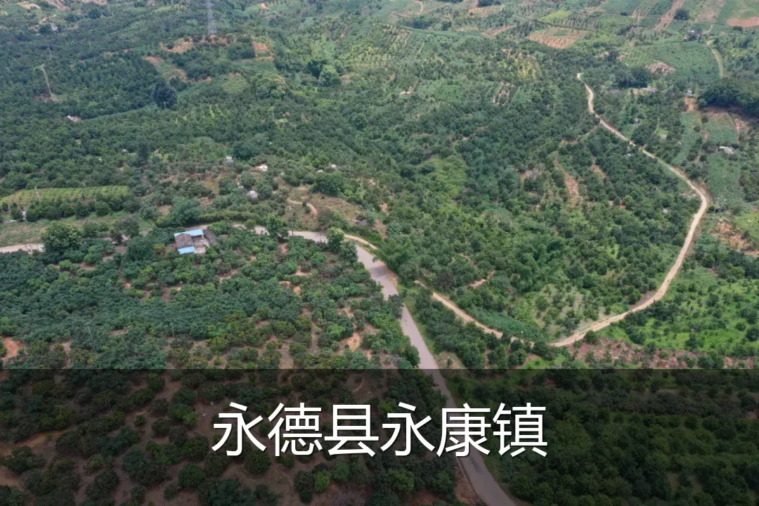 永德县永康镇
