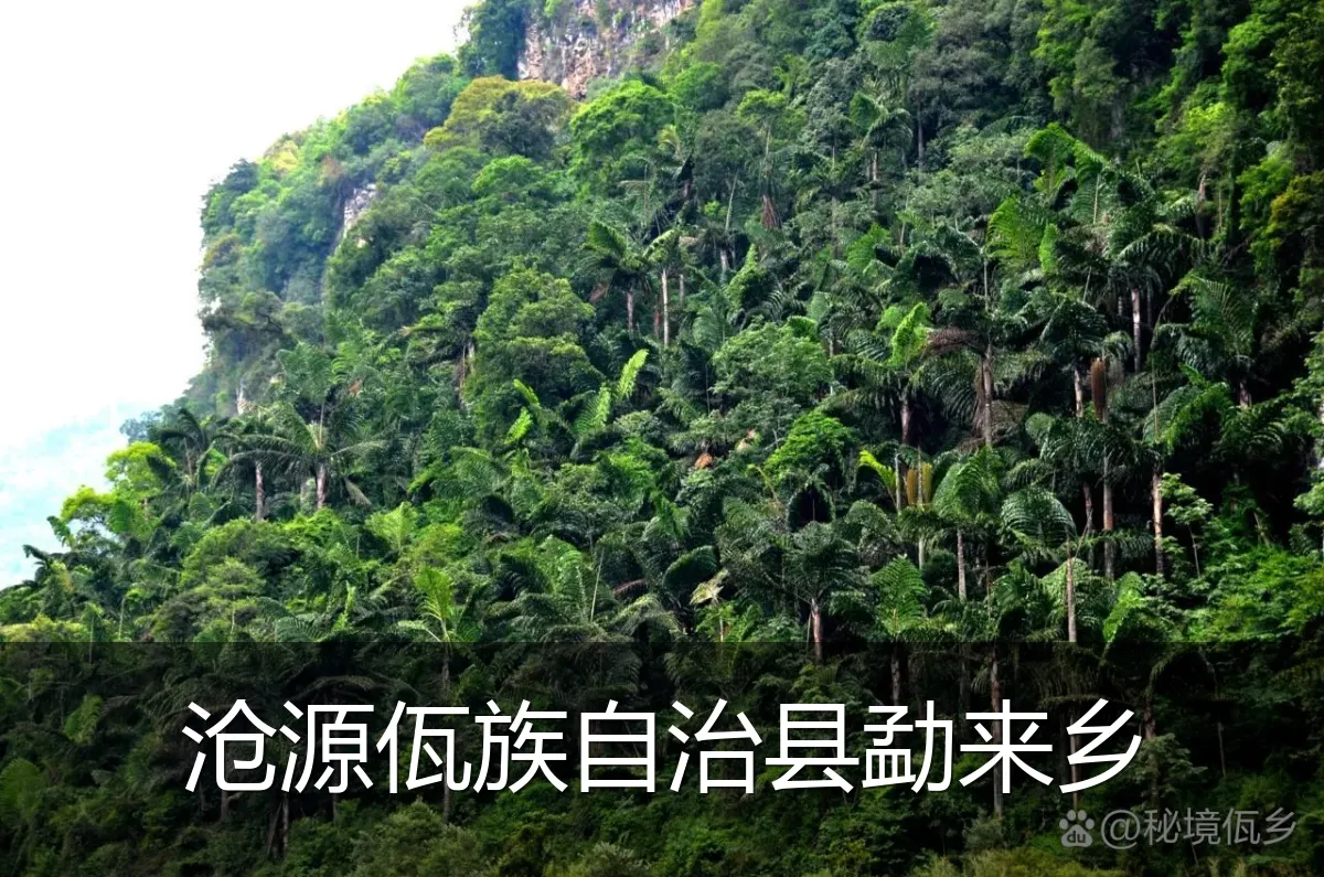 沧源佤族自治县勐来乡